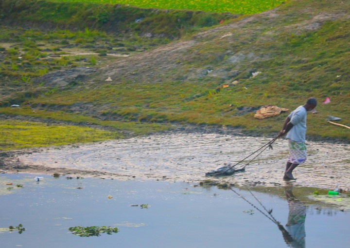 কৃষক