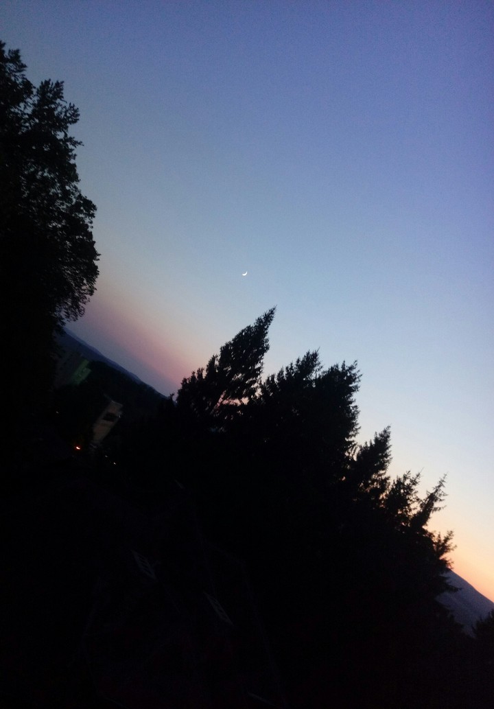 Dawn