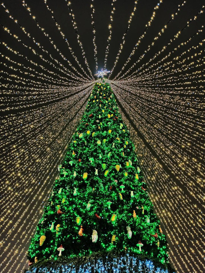 Christmas tree )