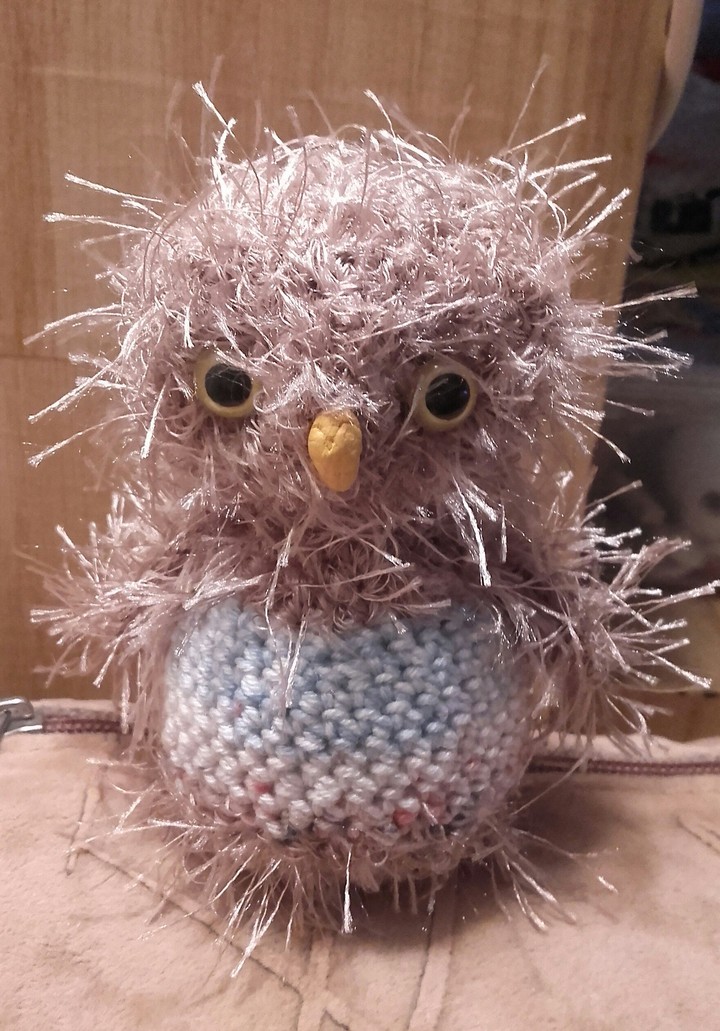Little owl