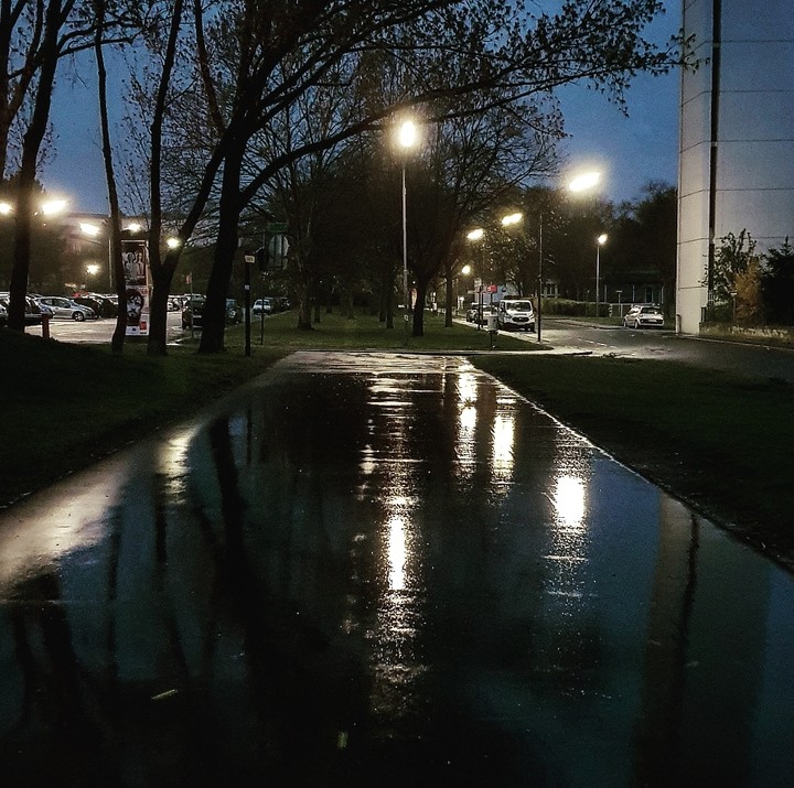 Rain