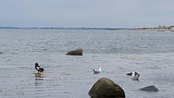 am Meer