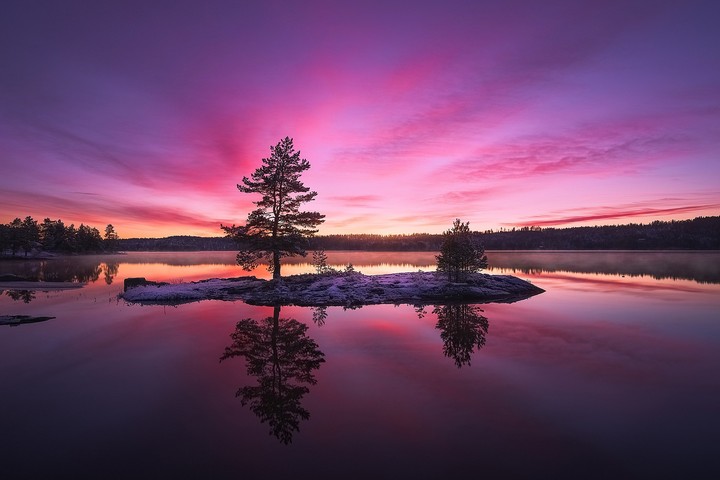 nature
