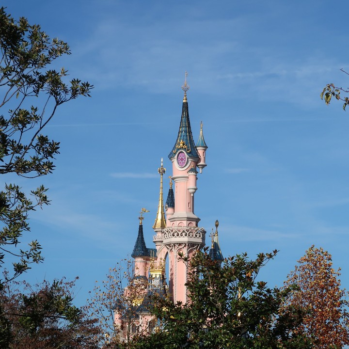 disney 