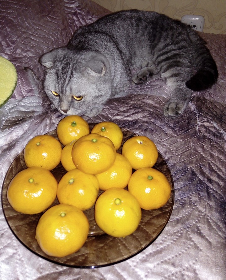 Максим