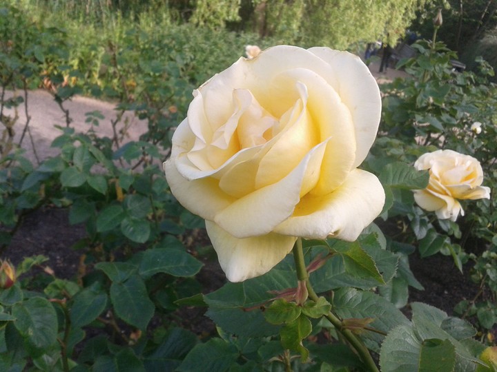 simply beautiful...