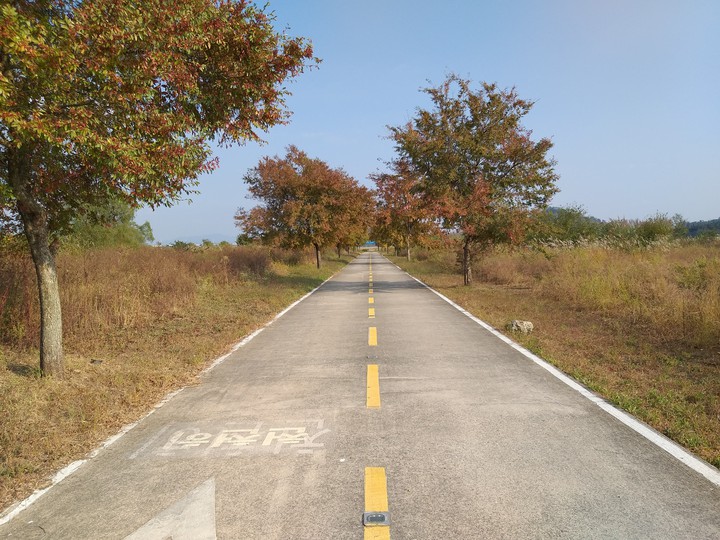 길