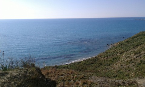 sea