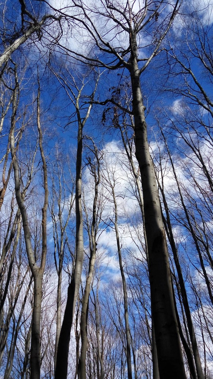 sky
