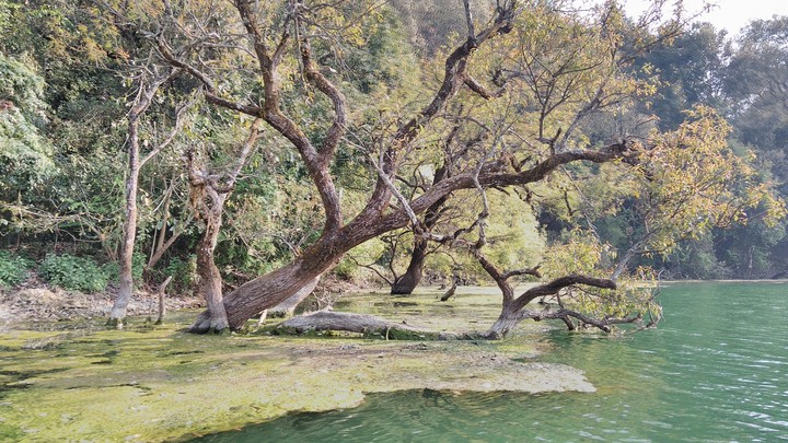 Naokochia lake, Uttarakhand, India.