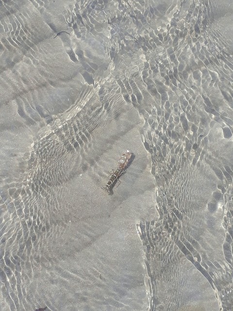 Love the sea 2
