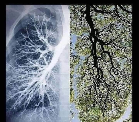 El aire que respiramos