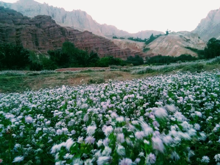 beautiful landscapes 2