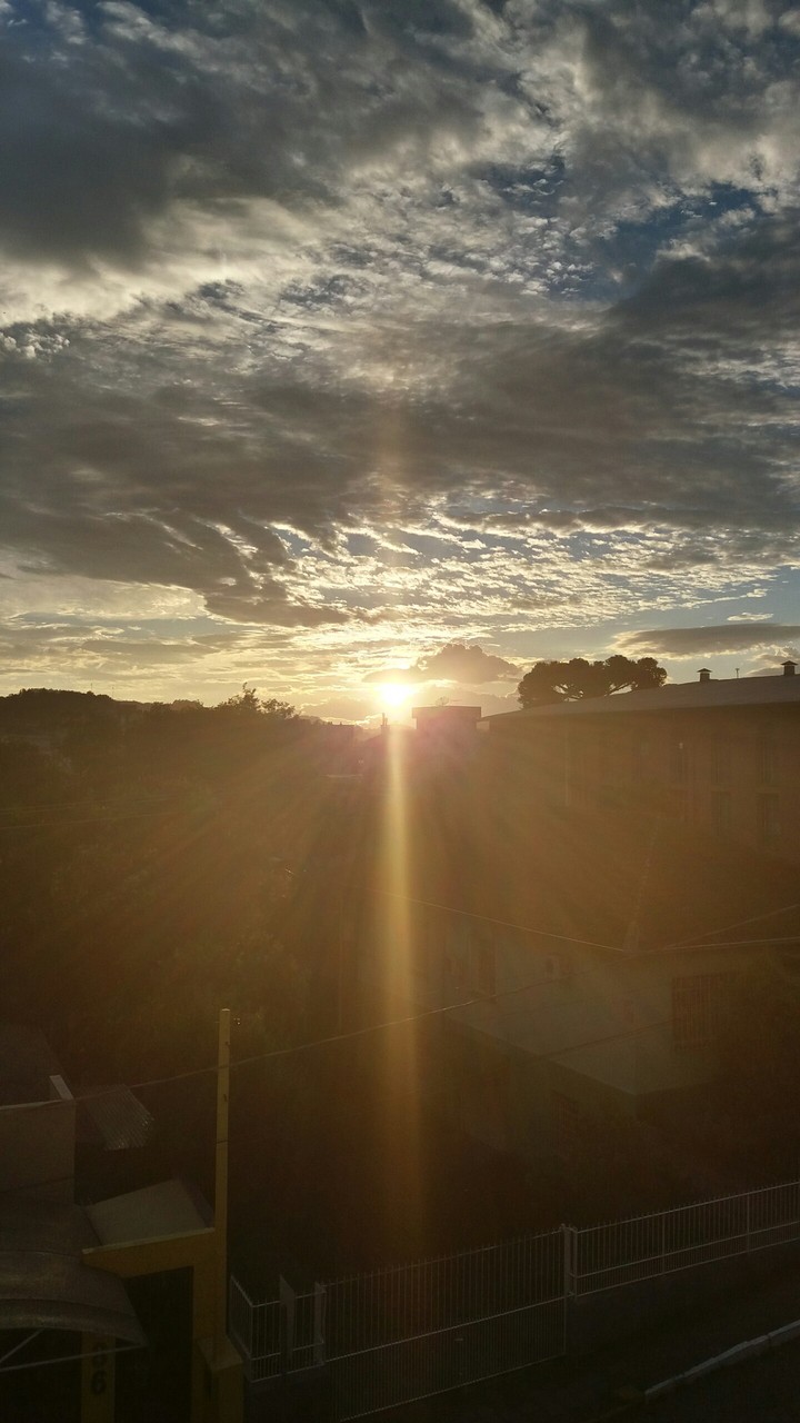 morning