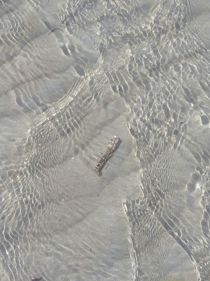 Love the sea 2