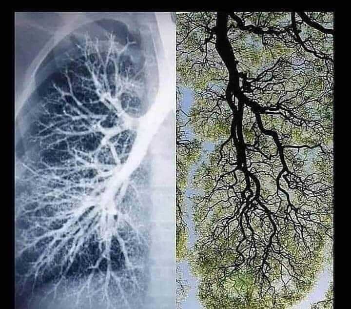 El aire que respiramos