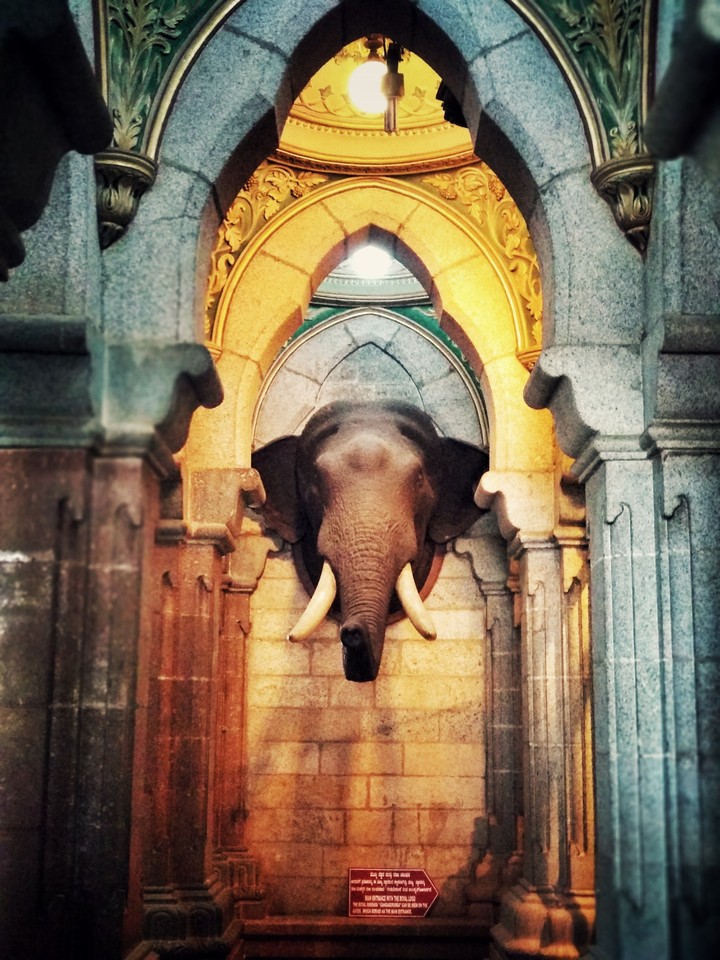 Elephant
