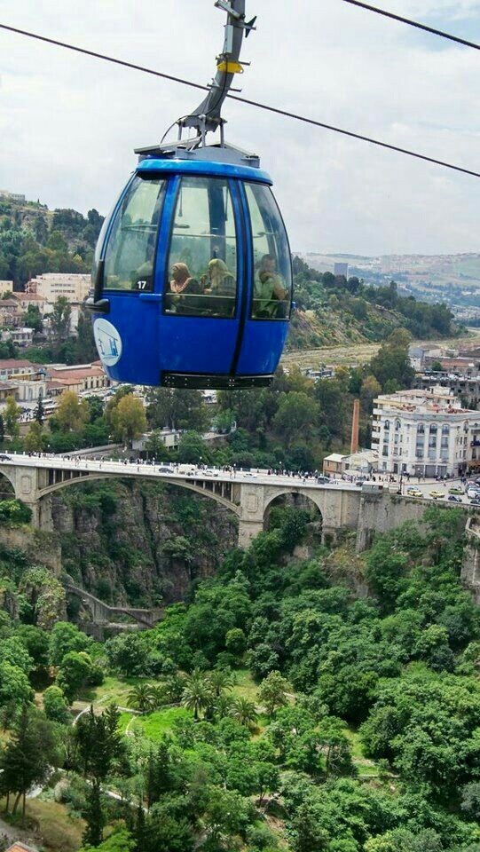 my city