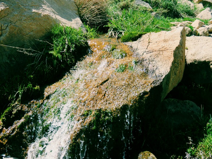 natural