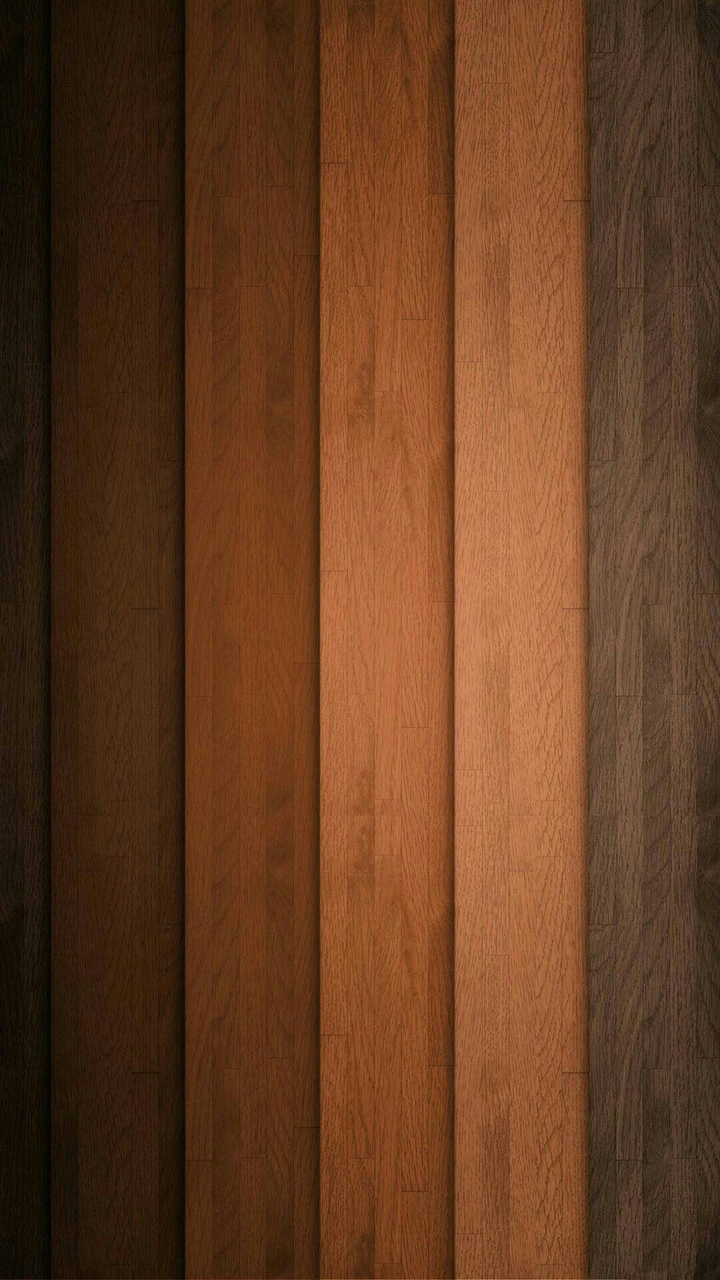 Fondo 6