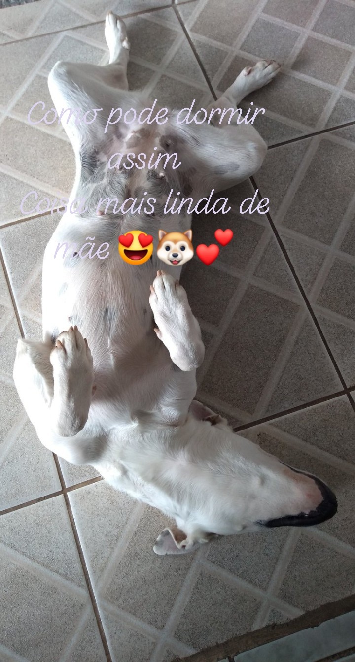 mamãe ama muito essa sapequinha ???