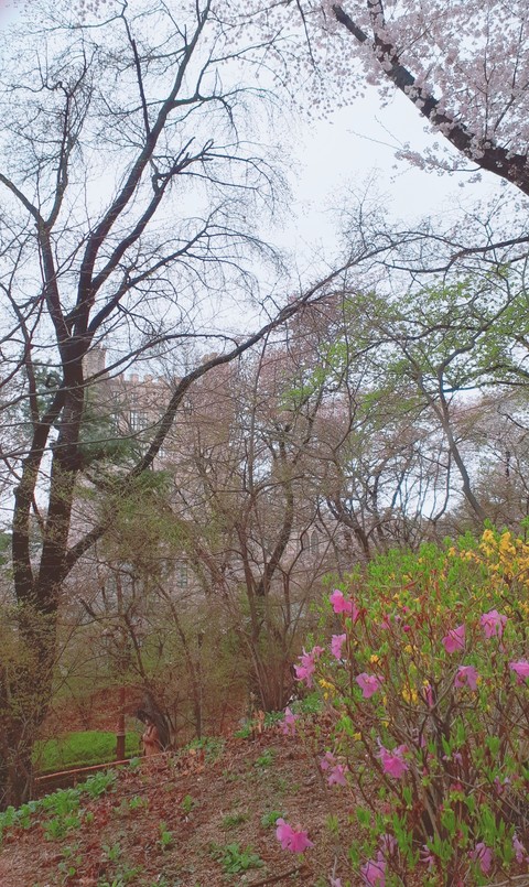 Spring