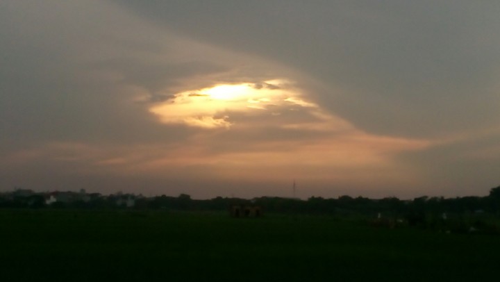 view