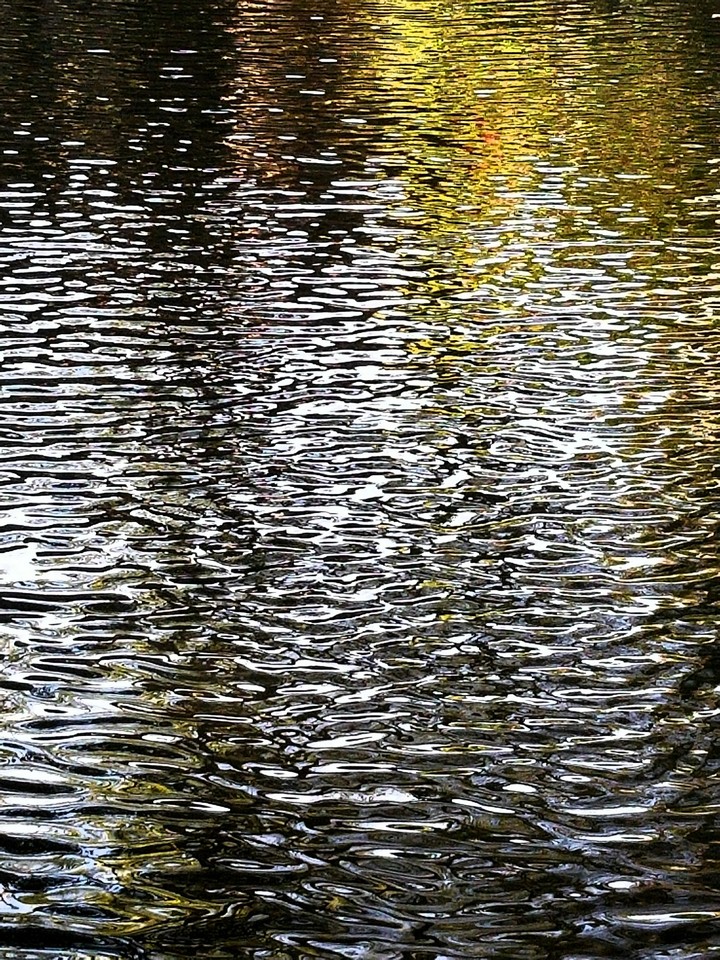 Water Ripple Beauty
