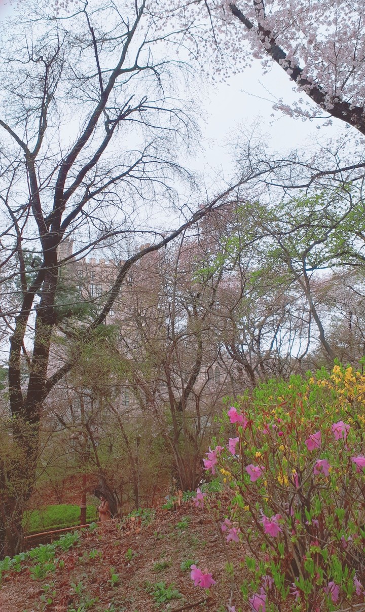 Spring