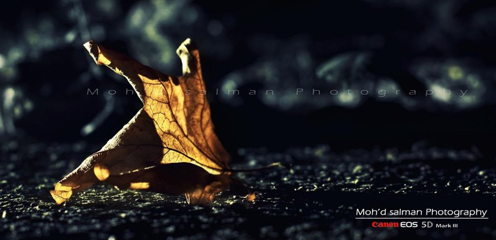 light