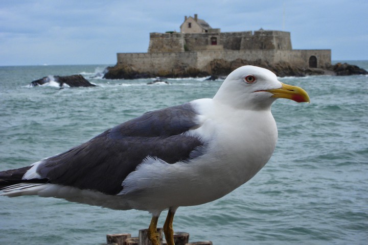 Bretagne