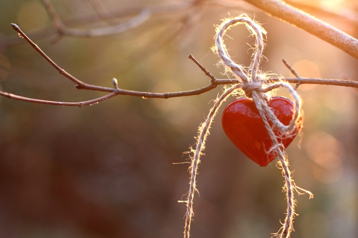 Heart