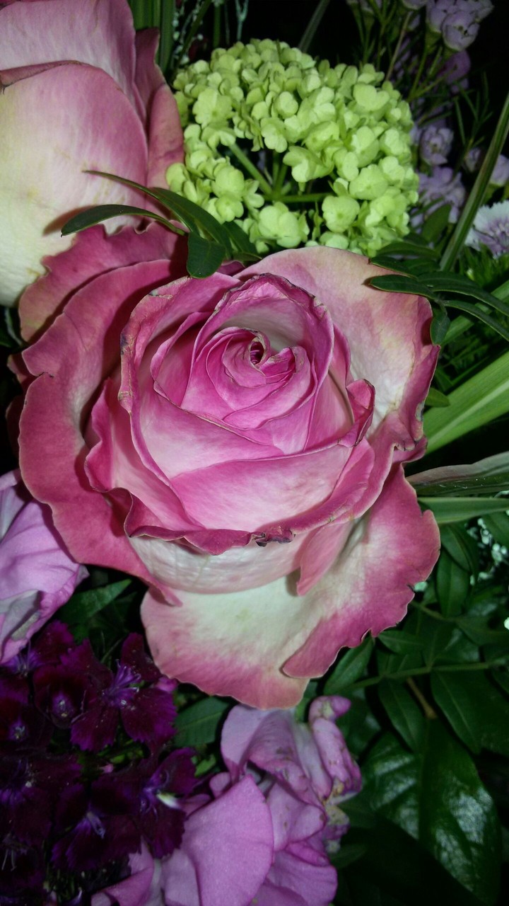flower