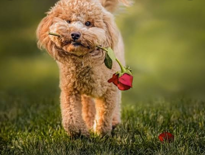 ♥️♥️♥️
