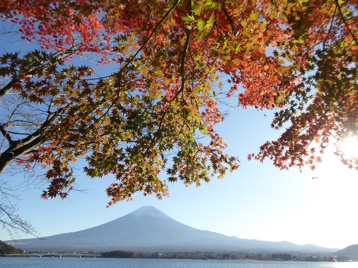 紅葉と富士山