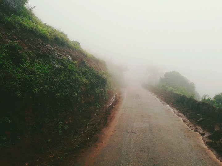 Misty Road