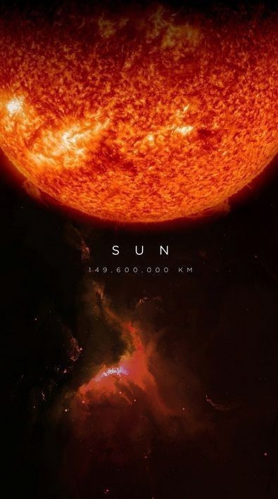 sunt