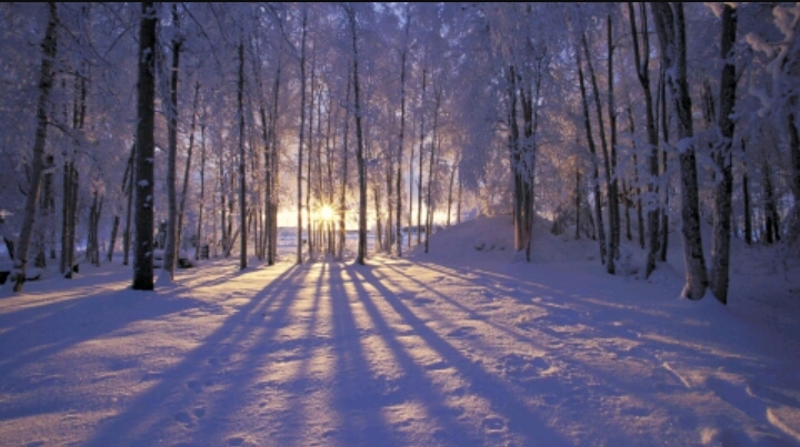nature