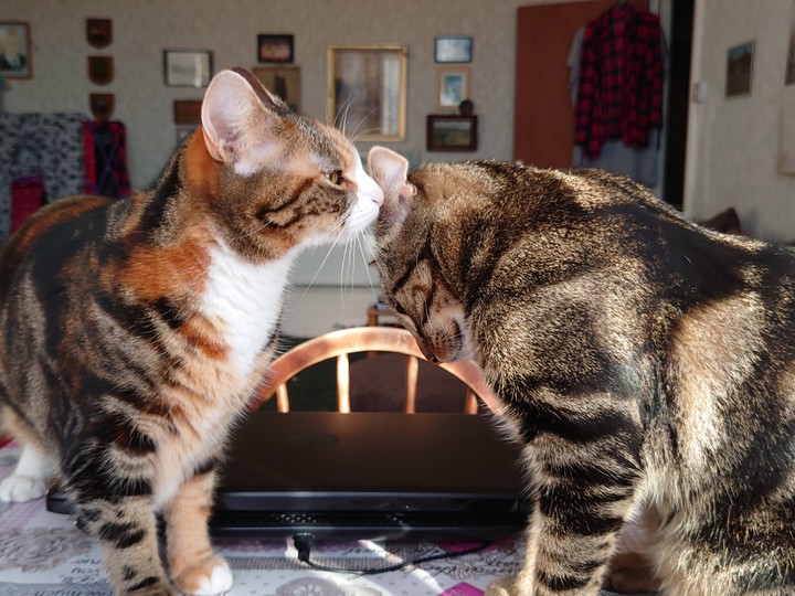 Penelope & Dilwyn