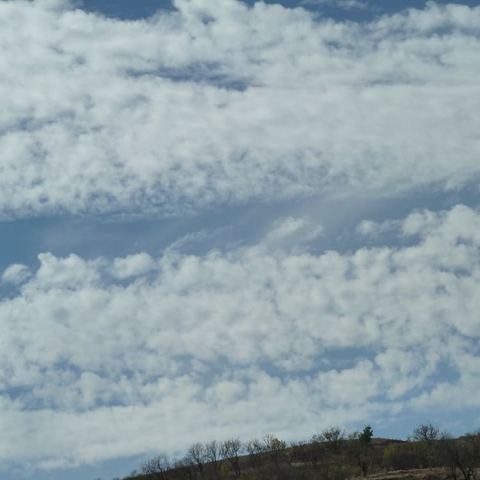 cloudy