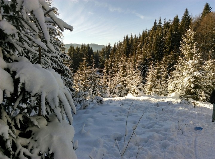 winter