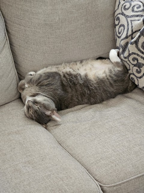 grey, couch桌布