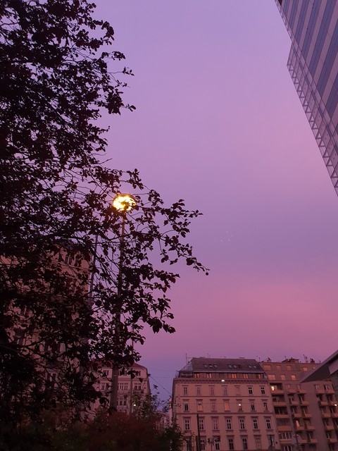 wunderschöner Abend,beautiful evening