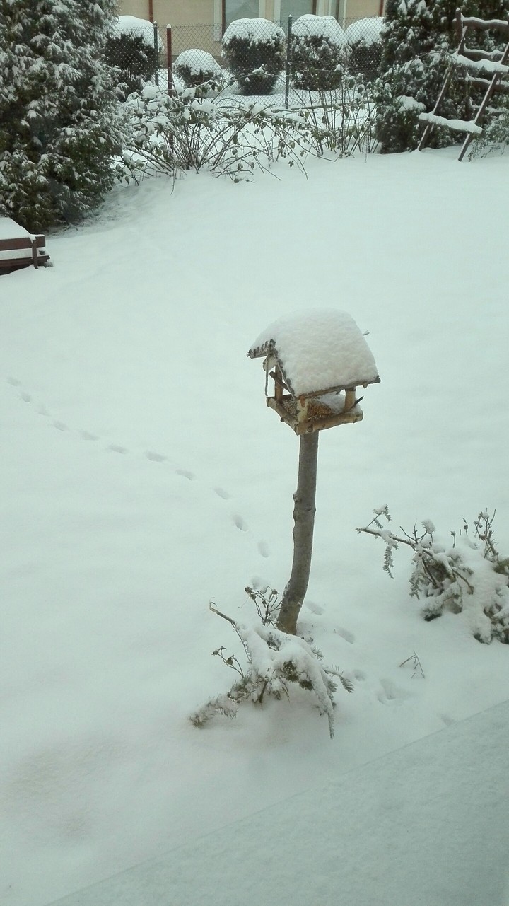 snow day