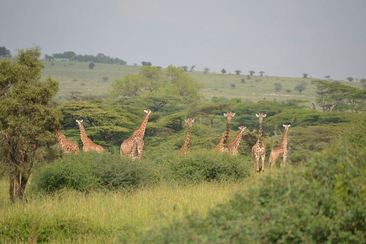 Kenya
