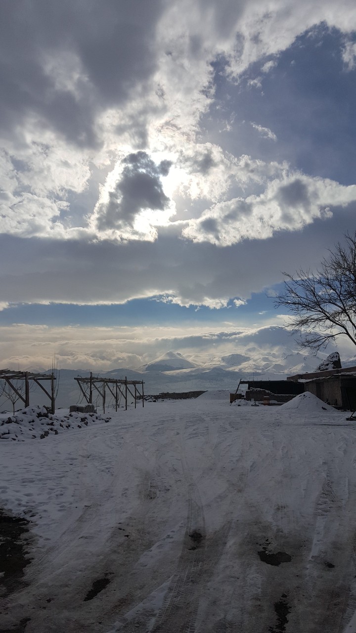 winter