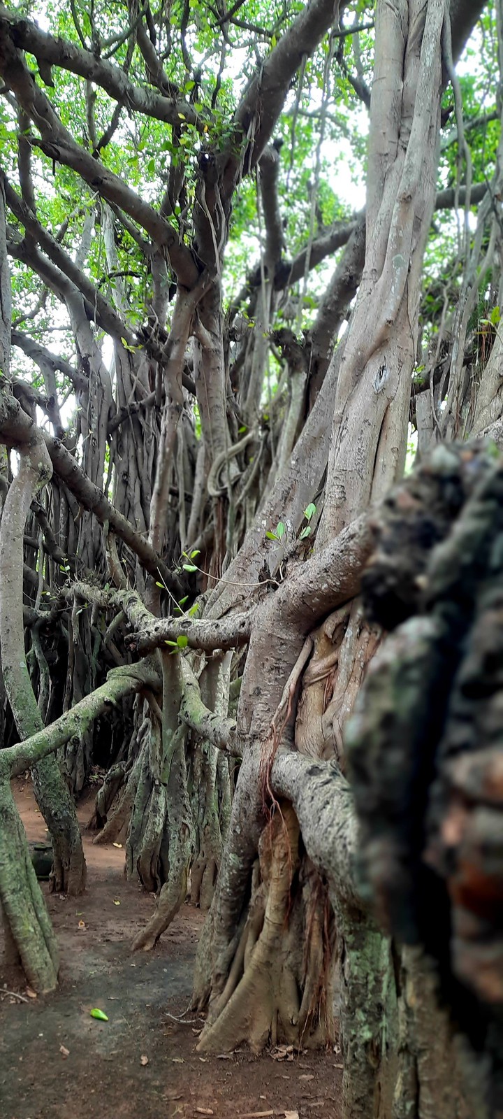 The soil is my strength, so I still carry a lot of memories