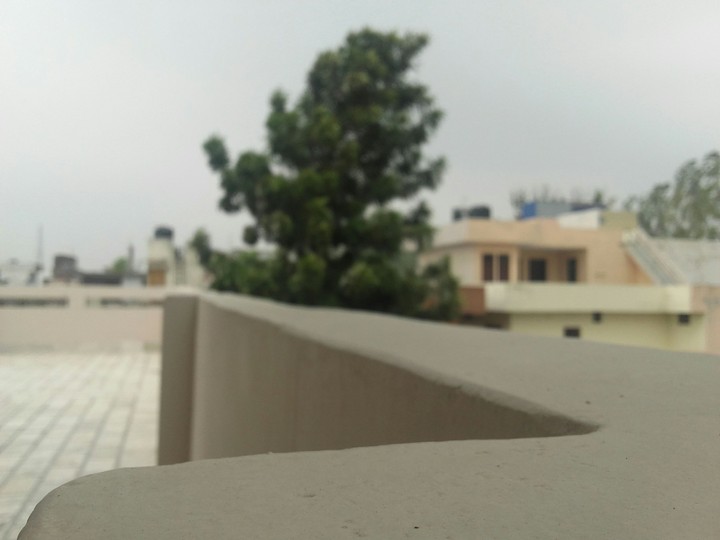 freaky weather