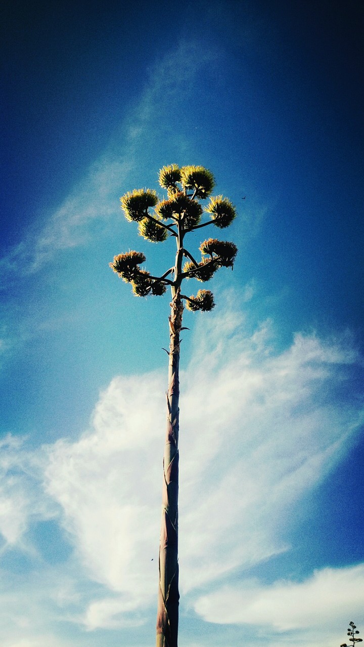 take me higher