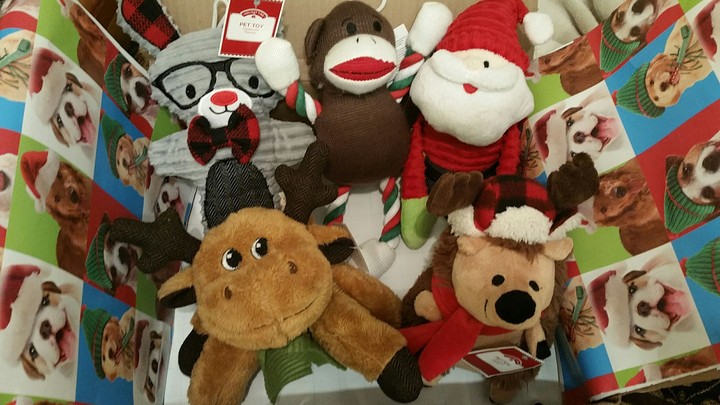 Lil Stuff Animals